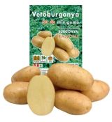 Holandské sadivo zemiakov RANOMI minihľuzy 50 ks