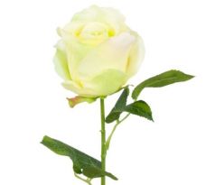 Umelá ruža 47 cm / B-08-031