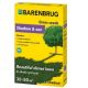 Trávne osivo BARENBRUG Shadow 30 - 50 m2 - 1 kg - do tienistých miest