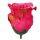 Umelá ruža puk W681-10