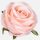 Umelá ruža saténová W705-05