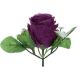 Ruža s listami burgundy 6 cm