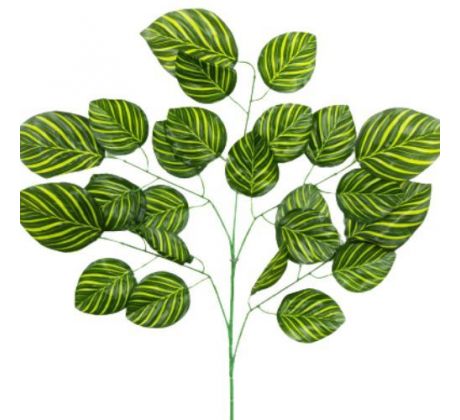 Umelý list calathea 68 cm