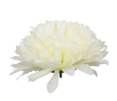 Umelá chryzantéma saténová krémová 16 cm