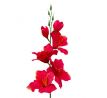 Umelá gladiola saténová červenozelená 54 cm