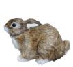 Zajačik hnedý 16 x 10 cm / 1 ks