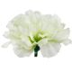 Umelý karafiát krémovozelený 8 cm
