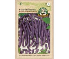 Fazuľa kríčkovitá Purple Queen skvelá gurmánská chuť