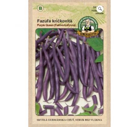 Fazuľa kríčkovitá Purple Queen skvelá gurmánská chuť