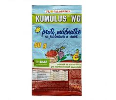 Kumulus WG 60 g Basf AG