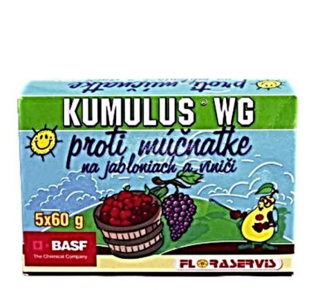 Kumulus WG 5 x 60 g Basf AG