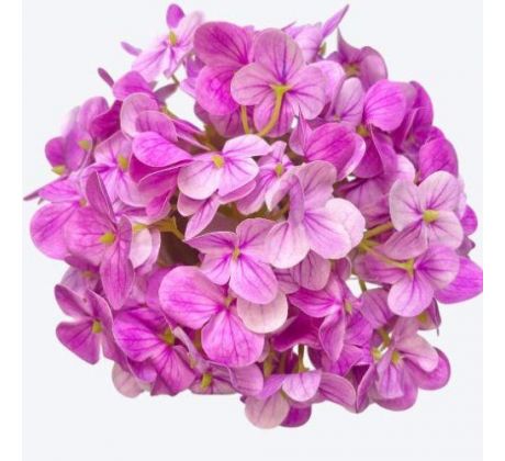 Umelá hortenzia ružová 15 cm