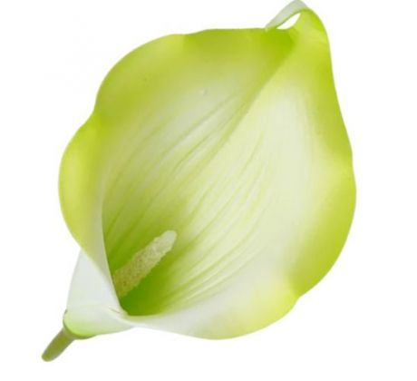 Umelá kala zelená 15 cm