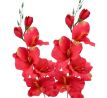 Umelá gladiola saténová červenozelená 54 cm
