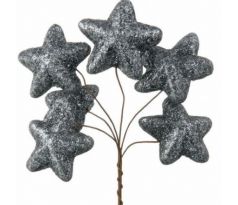 Hviezdičky grafitové glitrové zväzok 6 ks
