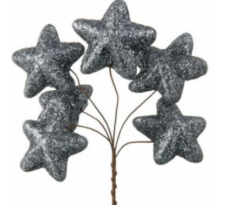 Hviezdičky grafitové glitrové zväzok 6 ks