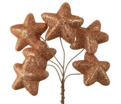 Hviezdičky šampaň glitrové zväzok 6 ks