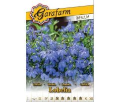 Lobelka drobná modrá - letnička pre husté výsadby