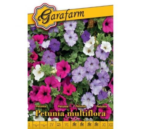 Petúnia nízka zmes - farebná zmes pre záhony aj balkóny
