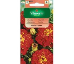 Aksamietnica BONITA CARMEN 1 g