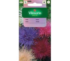 Zmes Astra Čínska ihlicovitá 1.5 g 50 % gratis