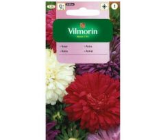 Zmes Astra čínska trpaslíčia 1 g