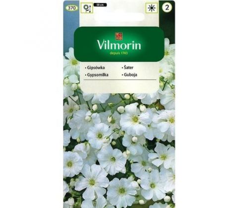 Gypsomilka uhladna biela 5 g