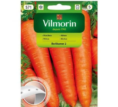 Mrkva neskorá BERLIKUMER 2 výsevný pásik / 7 m