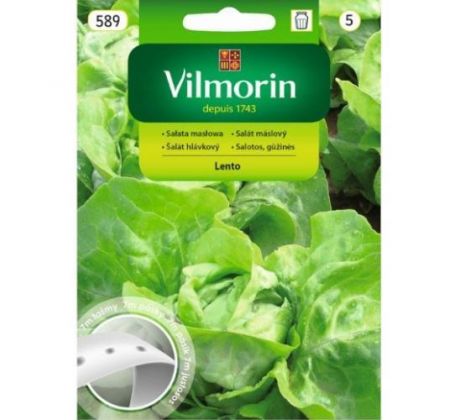 Šalát ľadový celoročný LENTO výsevný pásik / 7m