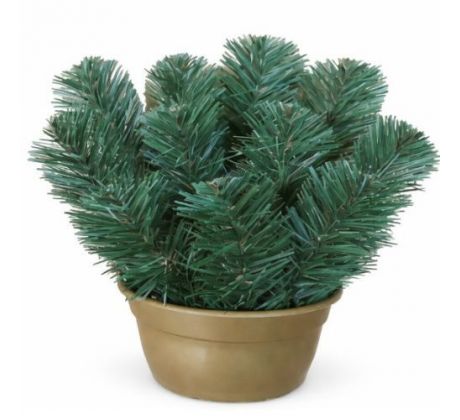 Čečinový základ mini 22 cm