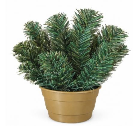 Čečinový základ mini 25 cm