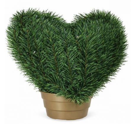 Srdce čečina v kvetináči 35 x 35 cm