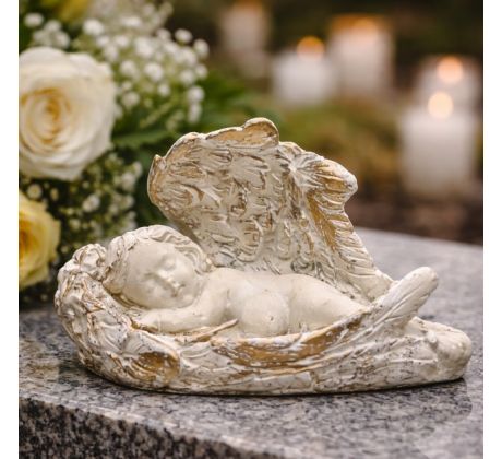 Anjelik spiaci bielozlatý 4,7 cm