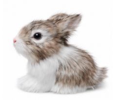 Zajačik bielo-šedý 8 cm / 1 ks