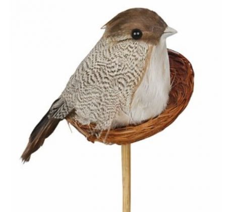 Vtáčik v hniezde zápich 12 cm / 1 ks