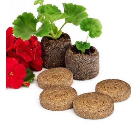 Rašelinové tablety JIFFY priemer 3,7 cm