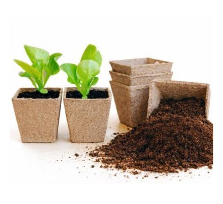 Sadbovač Herrison P1018 - 18 ks