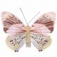 Motýlik ružovo-hnedo-žltý so štipcom 7,5 x 6 cm / 1 ks