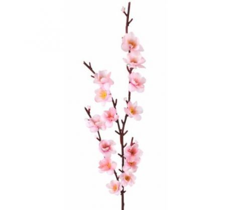 Jabloň kvet 03 / 51 cm