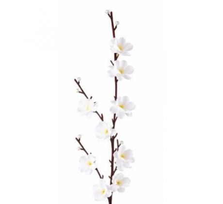 Jabloň kvet 01 / 51 cm