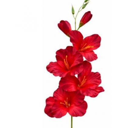 Umelá gladióla saténová červenočierna 54 cm