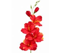 Umelá gladiola saténová červenozelená 54 cm