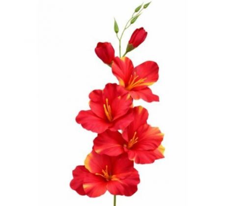 Umelá gladiola saténová červenozelená 54 cm
