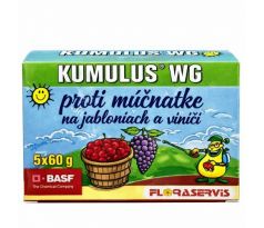 Kumulus WG 5 x 60 g Basf AG