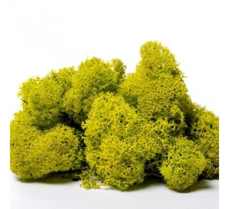 Stabilizovaný mach - zelená limetka 100 g