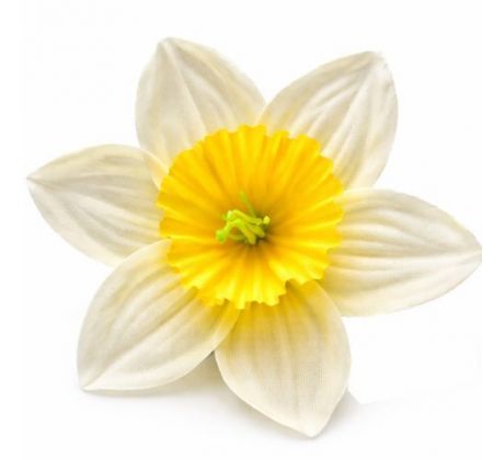 Narcis saténová hlavička svetložltá 10 cm