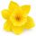 Umelý narcis žltý 12 cm
