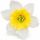 Umelý narcis bledožltý 12 cm