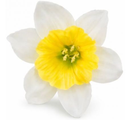 Umelý narcis bledožltý 12 cm