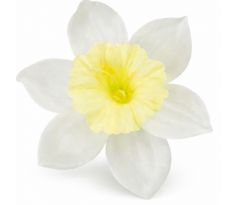 Umelý narcis maslový 12 cm